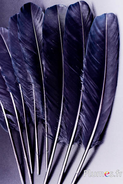 Cygne Soie - 25-30 cm - noir